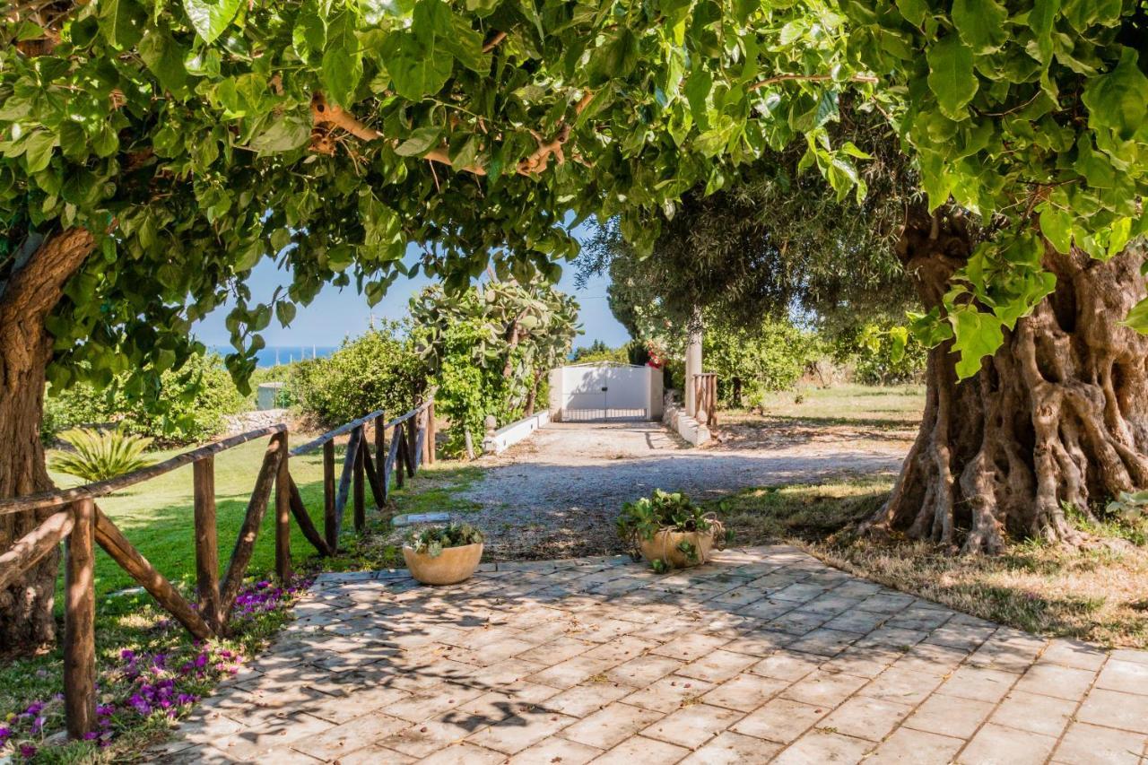 Authentic Sicilian Charm, Pool, Sea View, Wi-Fi & Parking Villa Avola Eksteriør billede